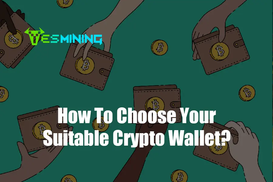 How To Choose Your Suitable Crypto Wallet?