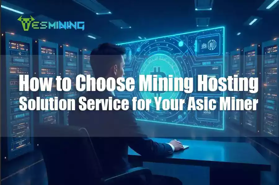 How to Choose Crypto-Mining Hosting Solution Service for Your Asic Miner