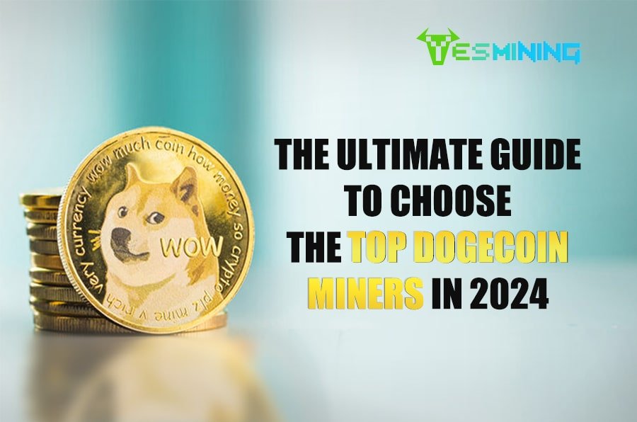 Top Dogecoin Miners of 2024: The Ultimate Guide to Choosing the Best