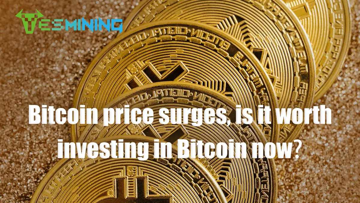 Bitcoin Price Surges, Is It Worth Investing in Bitcoin Now